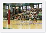 av078 PALLAVOLO AVELLINO-SIR SAFETY BASTIA 3-1 * 750 x 500 * (170KB)